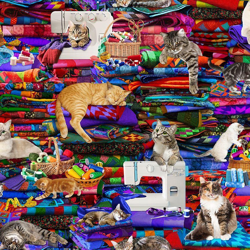 Cats on Quilts