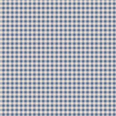 Creating Memories- Woven Gingham Blue