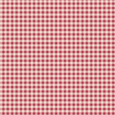 Creating Memories- Woven Gingham Red