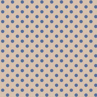 Creating Memories- Woven Polkadot Blue