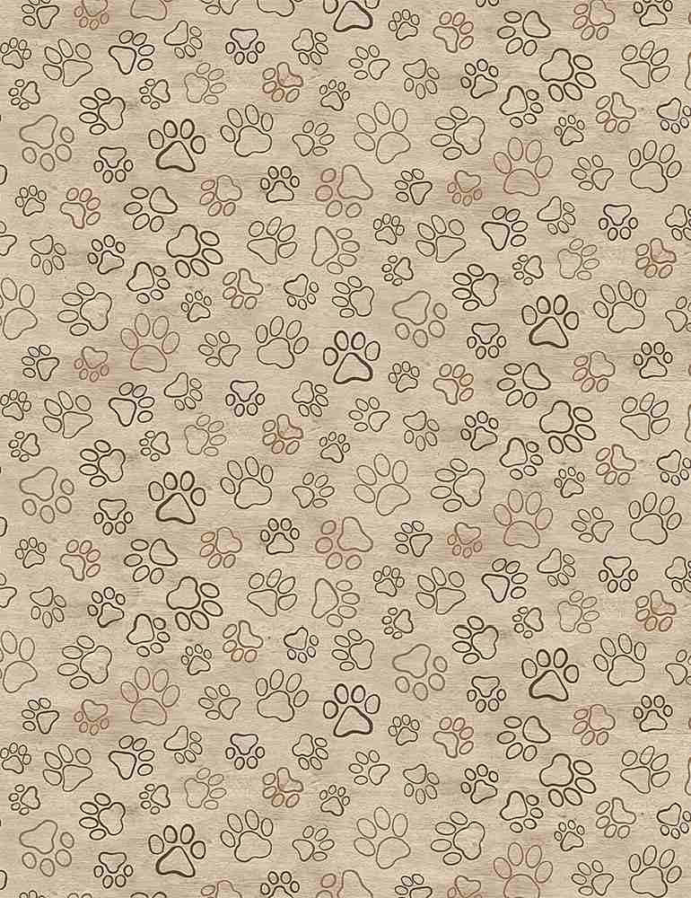 Dog Paw Prints