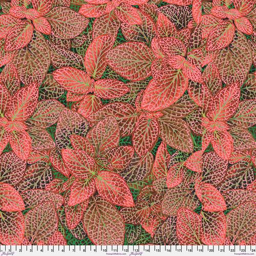 Kaffe Collective 2024- Fittonia Red