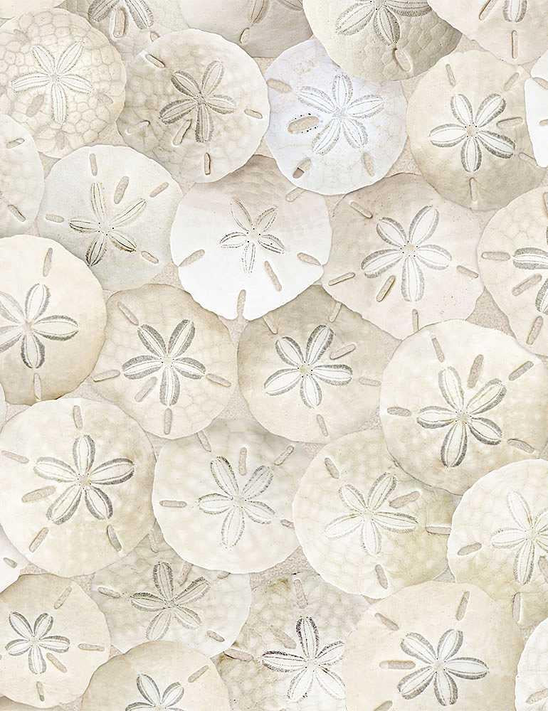 Packed Sand Dollars on Beach Sand